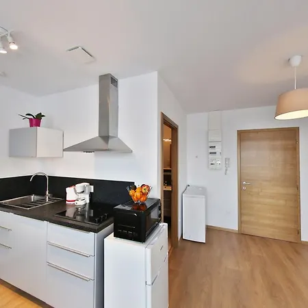 Les Cedres Apartment Strasbourg